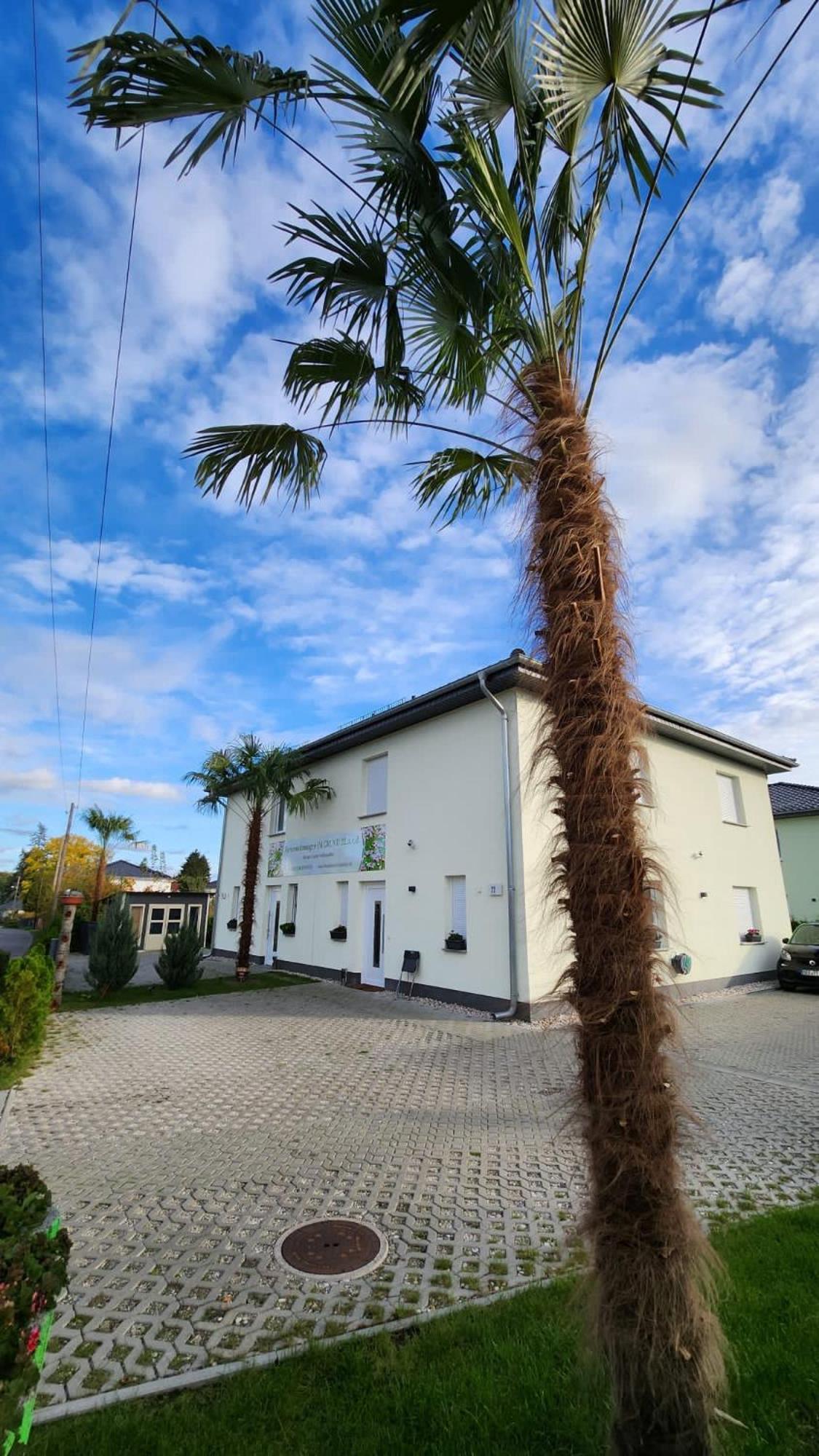 Ferienwohnungen Im Grund 22, 22A, 22C Birkenstein Hoppegarten Dış mekan fotoğraf